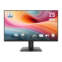 MSI PRO MP251 E2 24.5" 120Hz IPS FHD Monitor
