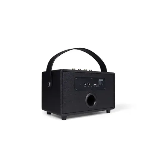 Microlab KTV203 Portable Bag Karaoke Speaker