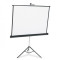Apollo 70"x70" Tripod Projection Screen